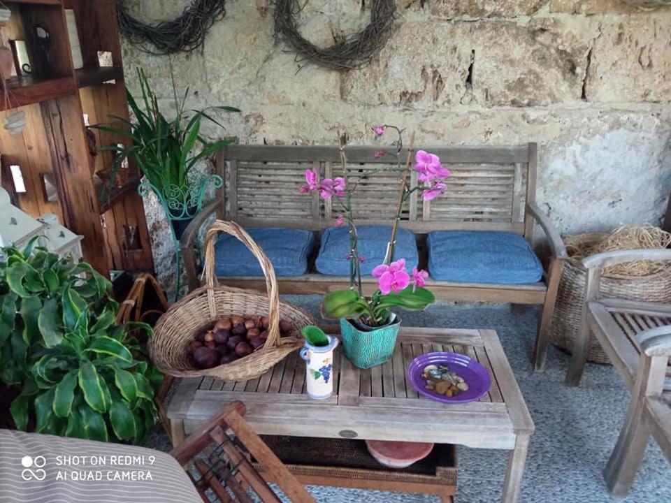Villa I Leoni Di Sicilia Palerme Extérieur photo