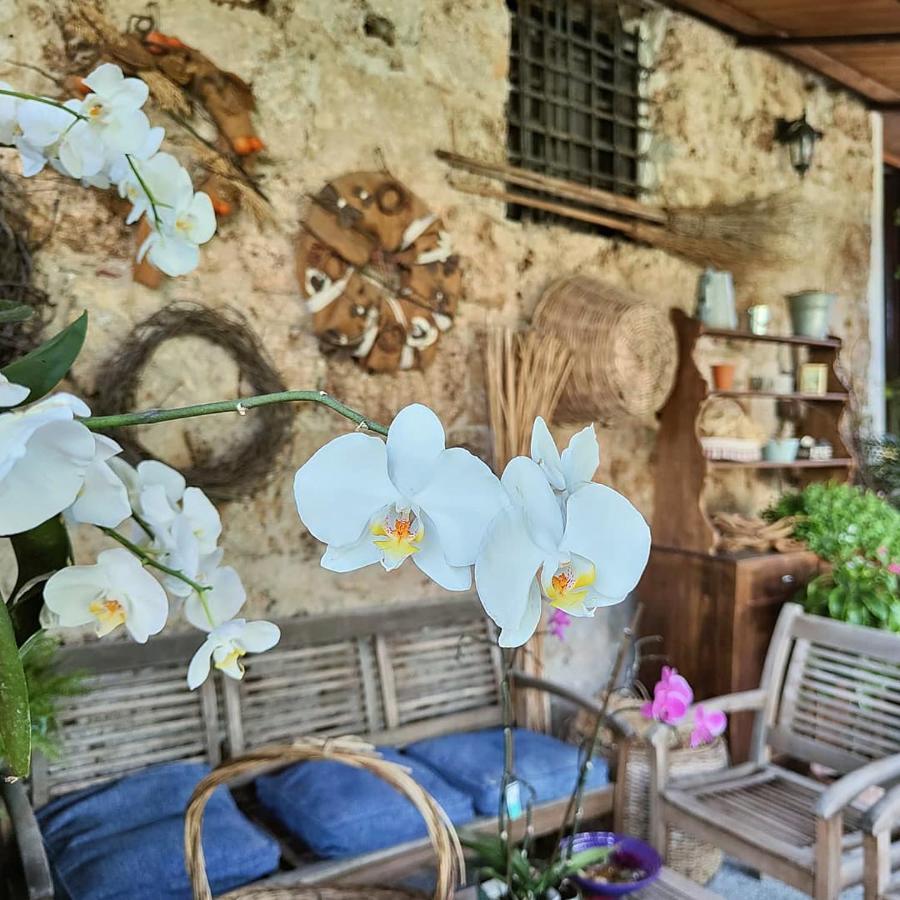 Villa I Leoni Di Sicilia Palerme Extérieur photo
